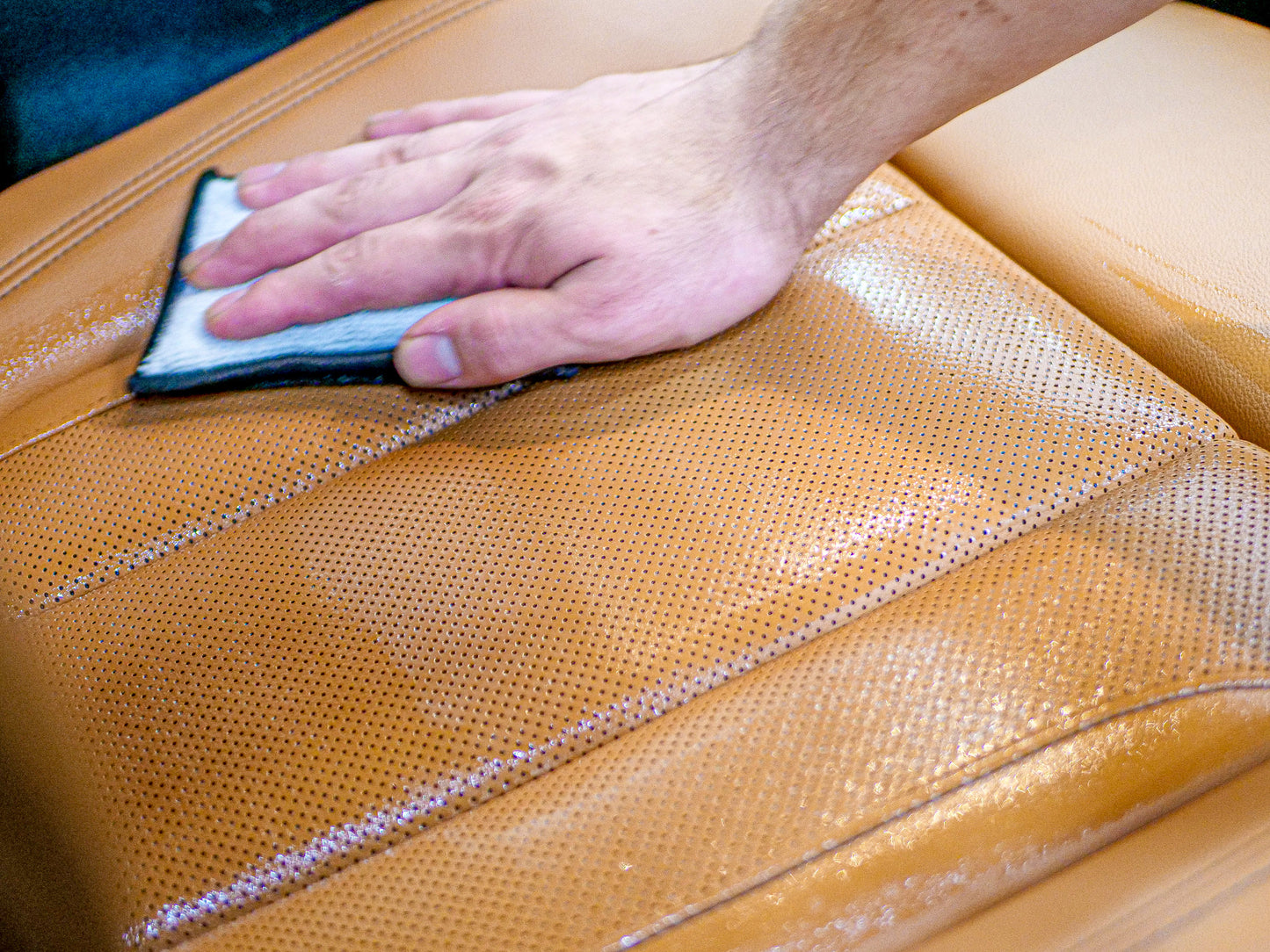 Interior Scrub Pad