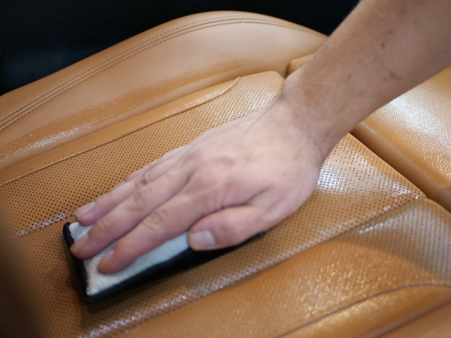 Interior Scrub Pad